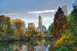 Who could deny that Central Park is magnificent in Autumn?  (Ed Yourdan, Wikipedia Commons)
