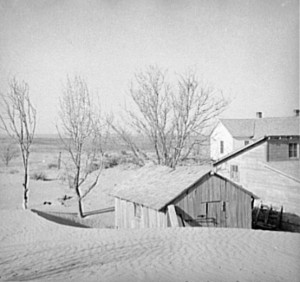 That's piles of dust around dead trees and farm cabins in Liberal, Kansas.  (Library of Congress)