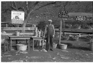 Along the Interstates, there's no place to pull over for apples, cider, or "sider and appels."  But such stands remain on U.S. 11.  (Library of Congress)