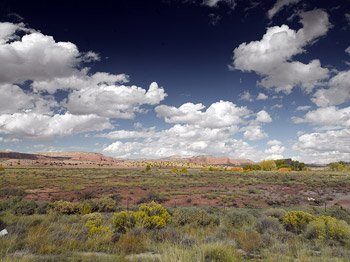 By the time you reach Northern Arizona, you're SURE you're in the West.  (Carol M. Highsmith)