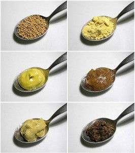 Mustard seeds, upper left, can be made into all sorts of things, including pungent, burning goop spread onto the chests of unfortunates with heavy chest colds.  (Wikipedia Commons)