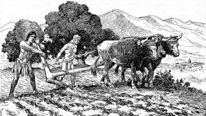 In this 1920 drawing, Indian residents of the Franciscans' California missions are shown plowing a field.  (Wikipedia Commons)