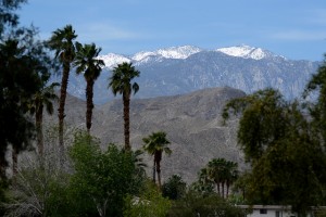 Palm Desert even has a neat mountain view.  (tracie7779.jpg)
