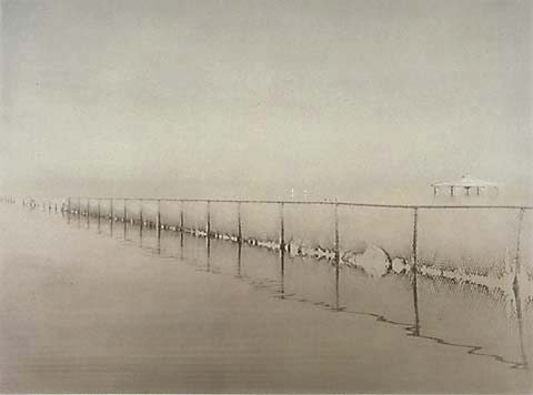 Joan Myers's enchanting view of a fence at the Salton Sea. (Courtesy, Joan Myers)