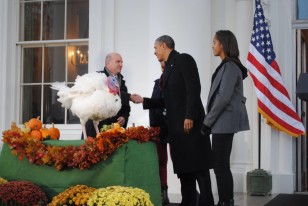 Başkan Obama geçtiğimiz yıl Ulusal Şükran Günü Hindisini Bağışlarken 