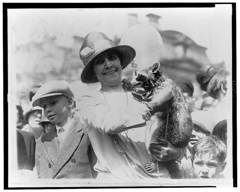 Mrs. Calvin Coolidge exhibits her pet raccoon, Rebecca, to crowds of children gathered for Easter egg roll, April 18, 1927. (Library of Congress)