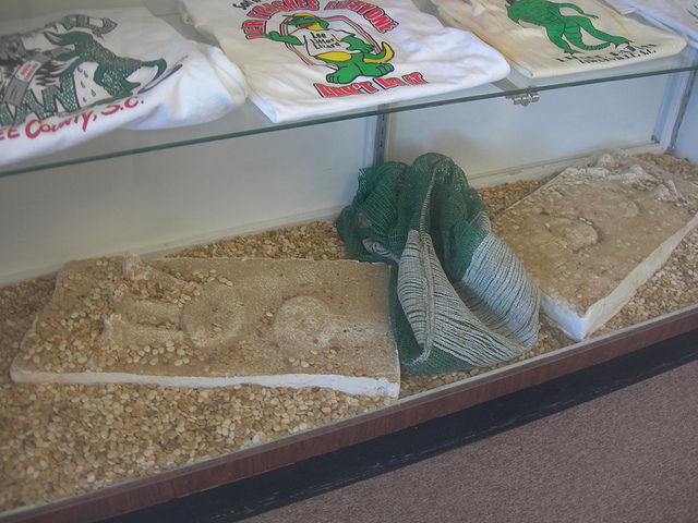  Lizard Man's footprints  at the South Carolina Cotton Museum in Bishopville, SC. (Photo by Flickr user Jimmy Emerson, DVM via Creative Commons license)