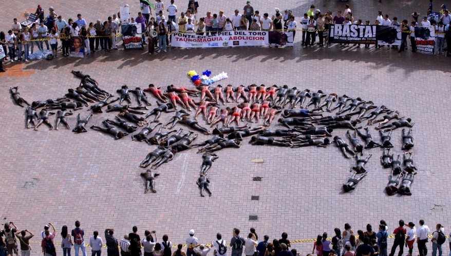 "Colombia Bullfight Protest"