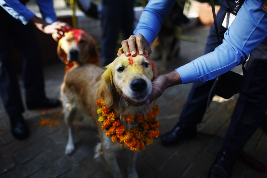 Nepal Hindu Festival