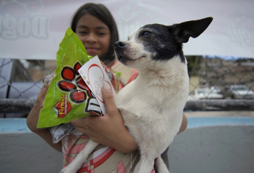 Honduras Dog Vaccinations