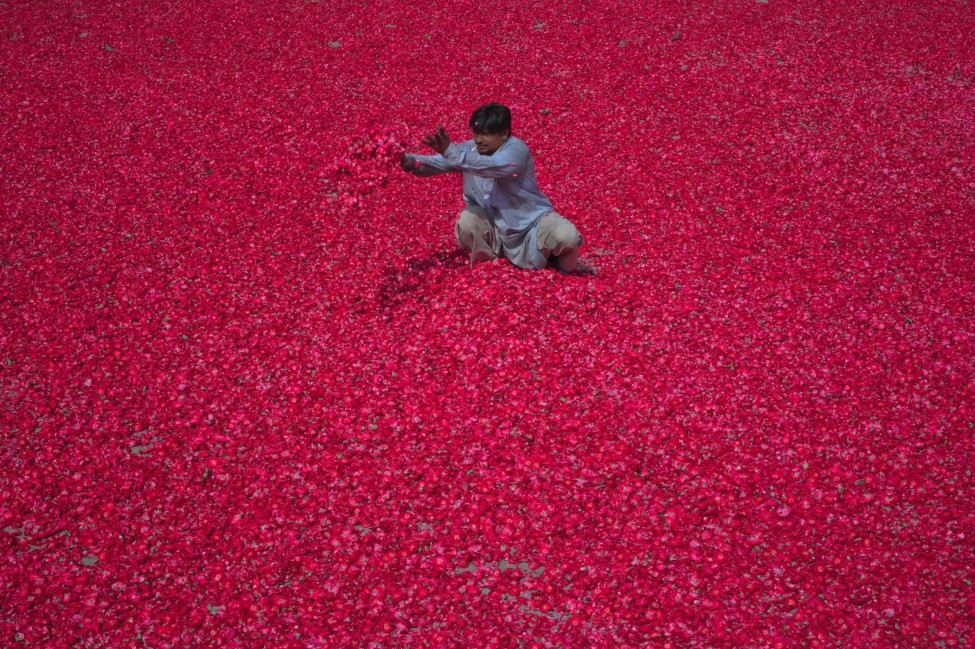 Pakistan