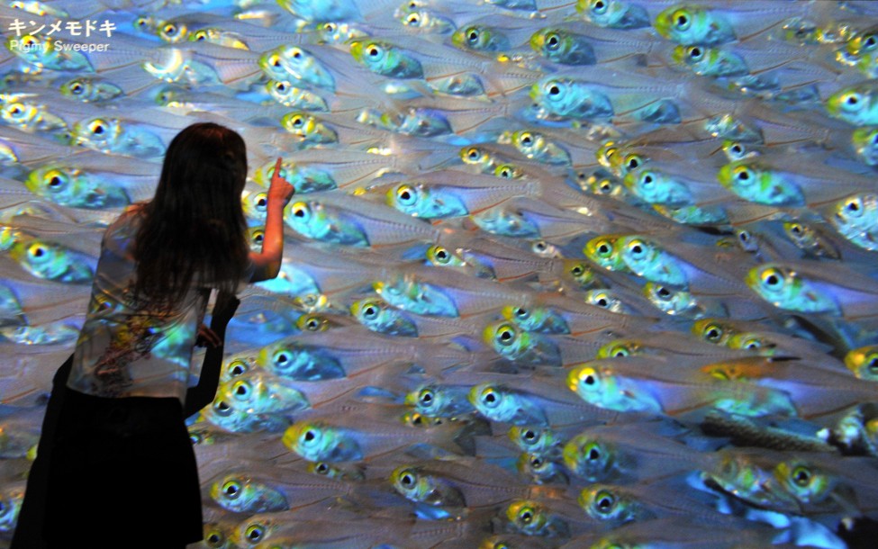 Japan Technology Aquarium