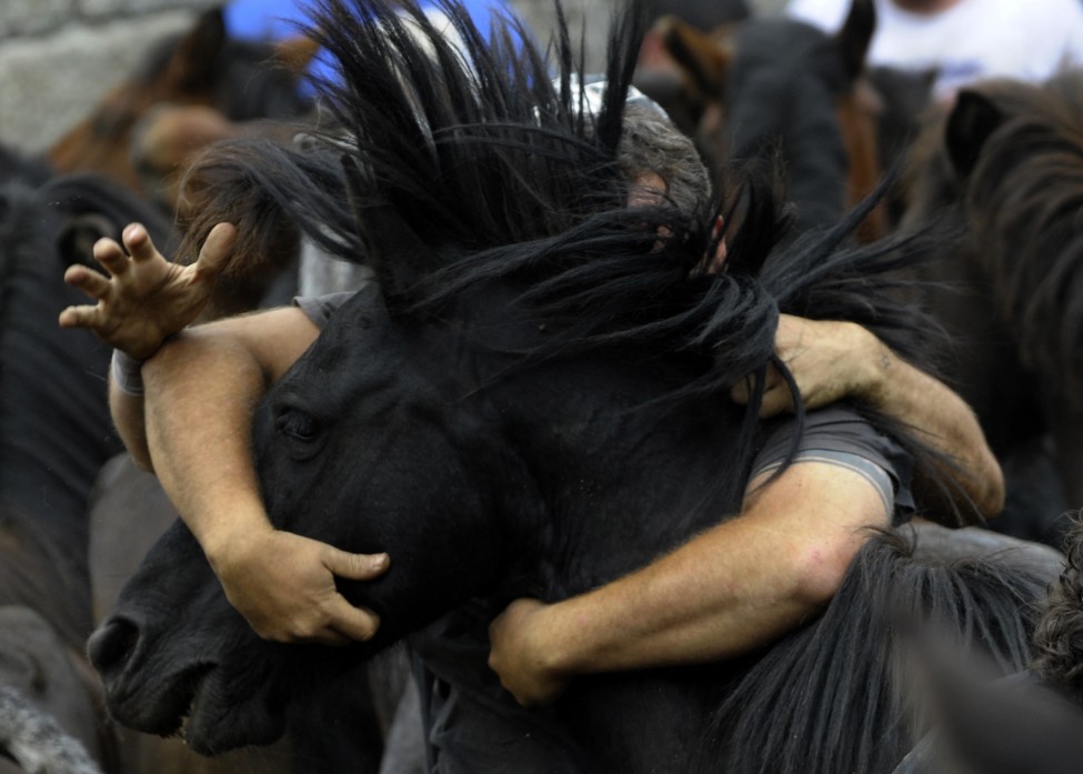 Spain Horses Shearing of the Beasts