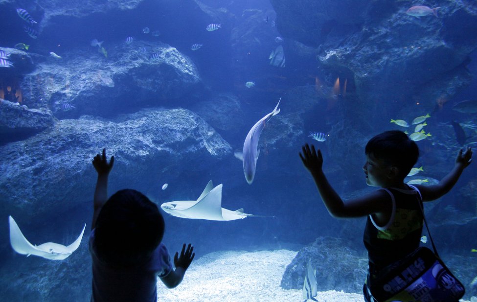 Japan Sumida Aquarium 