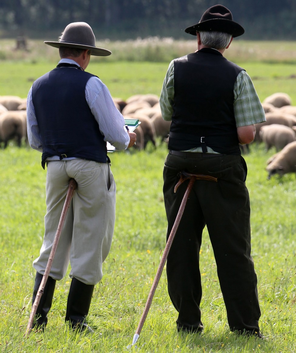 Germany Contest Farming Animal