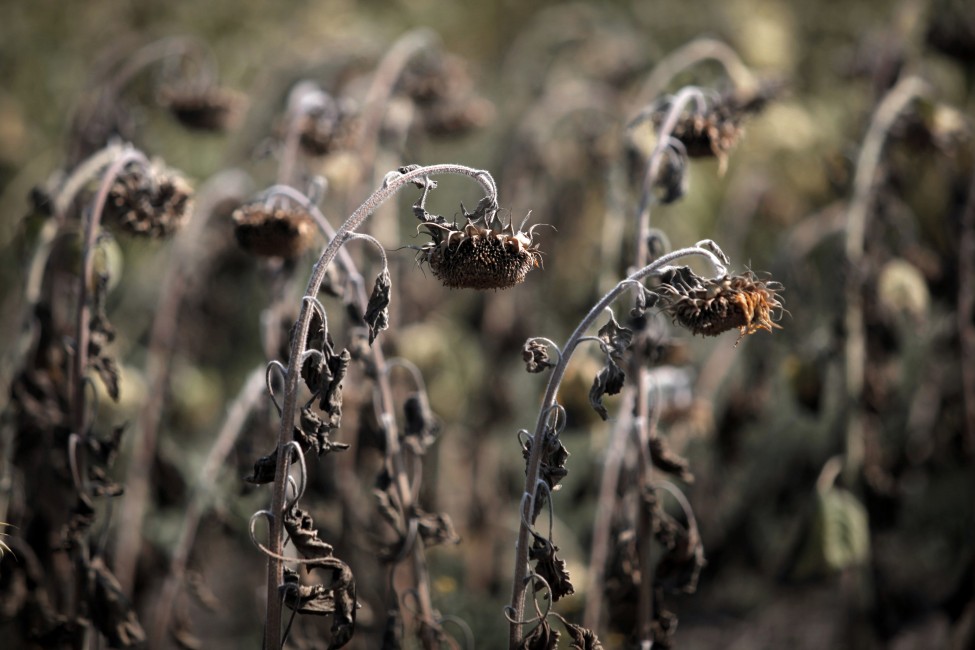 Bulgaria Balkan Drought