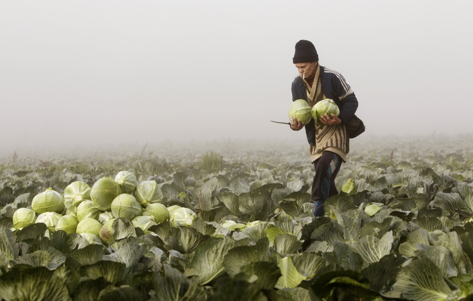 Belarus Agriculture