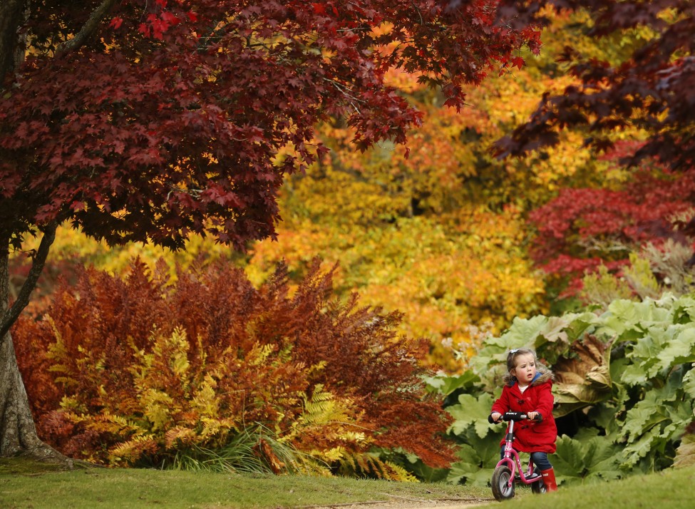 Britain Autumn Color