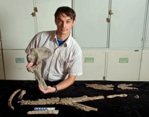 University of Florida researcher Alex Hastings displays a pelvic bone of Acherontisuchus guajiraensis, a 60-million-year-old ancestor of crocodiles discovered at the same site in northeastern Colombia as Titanoboa, the world’s largest snake. (Photo by Kristen Grace/ Florida Museum of Natural History)