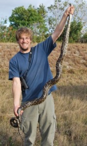 Researcher John “J.D.” Willson holds a young Burmese python captured in Everglades National Park. (Photo: Michael Dorcas)