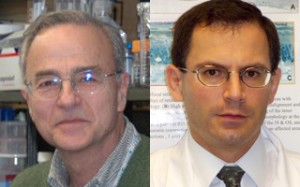 Dr. Gustavo D. Aguirre (left) and Dr. William A. Beltran (right) (Photo: University of Pennsylvania School of Veterinary Medicine)