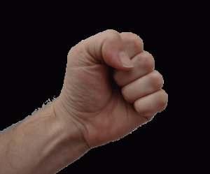A clenched human fist ((Photo: Ralpharama via Wikimedia Commons)