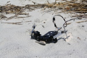 "Flipperbot" makes its way through sand.  (Nicole Mazouchova)