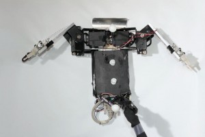 Top view of "Flipperbot" (Nicole Mazouchova)