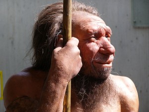 Reconstruction of a Neanderthal male displayed at the Neanderthal Museum in Mettmann, Germany (Erich Ferdinand via Wikimedia Commons)