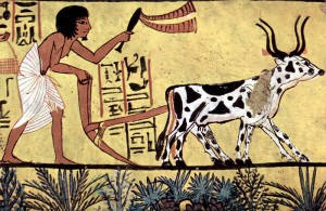 Ancient Egyptian farmer plowing (Wikimedia Commons)