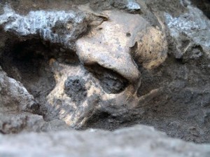 This is "Skull 5" that was found at the Dmanisi, Georgia dig site. (Georgian National Museum)
