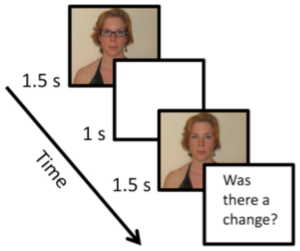 This demonstrates how the researchers tested their volunteer observers (Piers D.L.Howe/Margaret E. Webb/PLOS ONE)