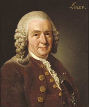 Carl Linnaeus is a botanist who in the 18th century devised a system for classifying living things that is still used today. (Wikimedia Commons)