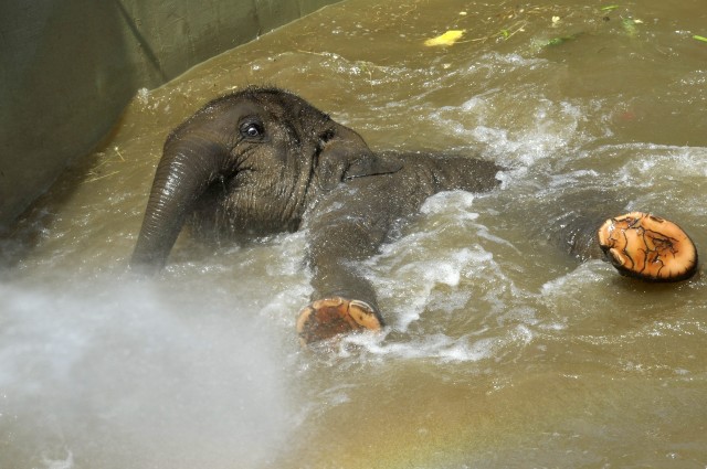 Hungary Zoo