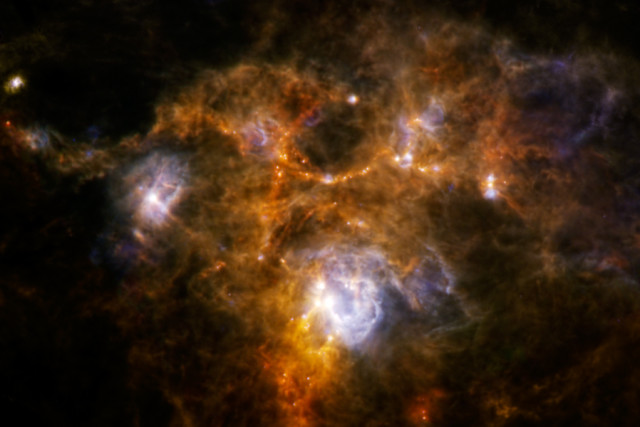 The European Space Agency's Herschel Space Observatory recently discovered an a unique ring of material within a giant cloud of gas called NGC 7538. Clumps of material that have gathered within the cloud may one day produce, what some astronomers think will be a number of collasal stars. June 12, 2014 (ESA/NASA/JPL-Caltech/Whitman College)