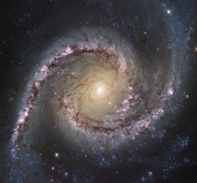A new undated Hubble image shows NGC 1566, a galaxy located about 40 million light-years away in the constellation of Dorado