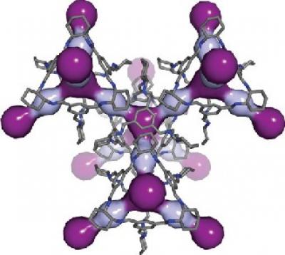 In this computer simulation, light and dark purple highlight the cavities within the 3D pore structure of CC3. (Nature Materials 2014)