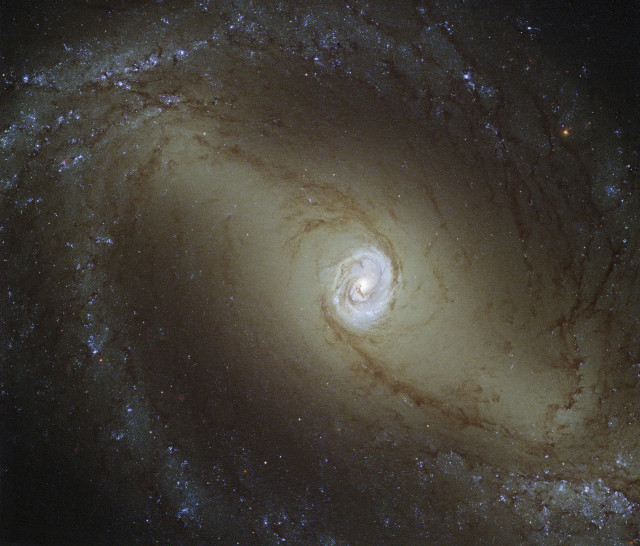 NASA and ESA, the European space agency, released this image; captured by the Hubble Space Telescope, of the spiral galaxy NGC-1433 on July 11, 2014.  Known as a Seyfert galaxy, which makes up about 10% of all galaxies, the NGC-1433 is about 32 million light-years from Earth. (Reuters) 