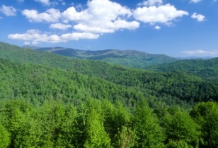 Trees blanket mountains and valleys of southwestern North Carolina in the Nantahala National Forest (USDA)