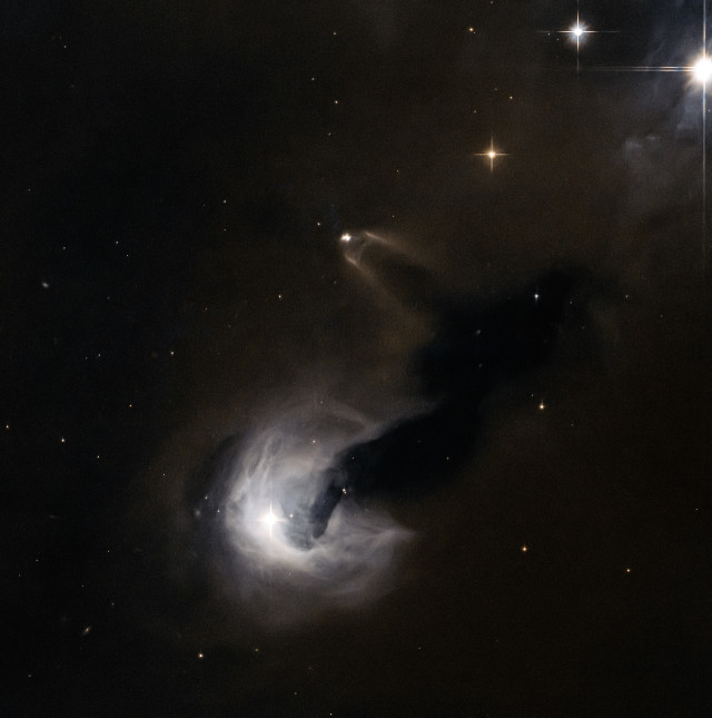 NASA and the European Space Agency released this image on August 25, 2014, taken by the Hubble Space Telescope that shows a star, known as SSTC2D J033038.2+303212, in its early stages of life being flanked by a dark nebula called Dobashi 4173. (© ESA/NASA)