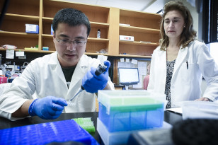 University of Alabama Birmingham scientists including Anath Shalev (right), director of UAB's Comprehensive Diabetes Center, have uncovered that the drug verapamil, which is now used to treat high blood pressure, irregular heartbeat and migraine headaches, eradicated diabetes in animal tests (UAB News)