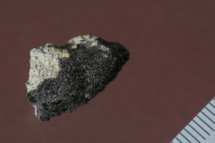 This meteorite has been found in Morocco in 2011. It's tiny cracks contain carbon of organic nature. This carbon has been deposited on Mars and could have been originated by a biological activity. (Alain Herzog/EPFL 2014)