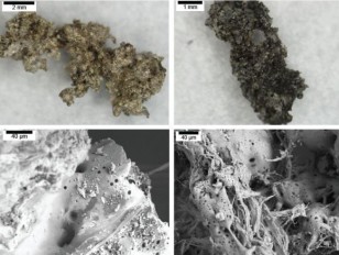 Impact material generated without the presence of carbon from complex organics, top left, is lighter than material generated with carbon, top right. Scanning electron microscope images, bottom row, show finer-scale structure and texture variations. Images: (NASA/Ames/Brown University)