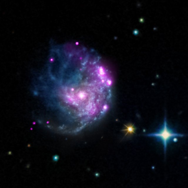 The Chandra X-ray Observatory imaged a newly discovered cosmic object in the galaxy NGC 2276.  The object pictured in this photo released on 2/24/15 may help provide answers to some long-standing questions about how black holes evolve and influence their surroundings.  (NASA/CXC/SAO/M.Mezcua/INAF/A.Wolter)