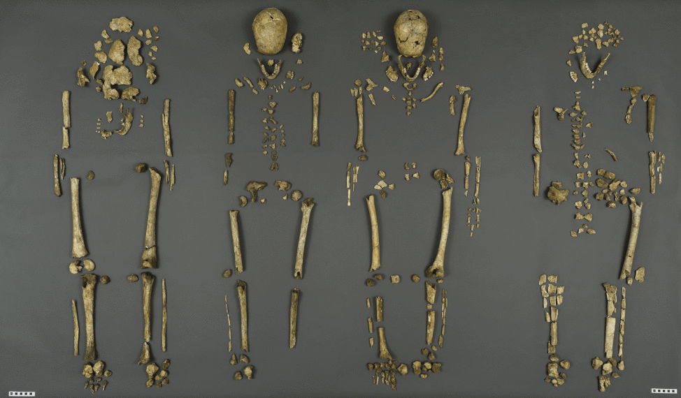 On 7/28/15, a team of scientists from the Smithsonian’s National Museum of Natural History and The Jamestown Rediscovery Foundation at Historic Jamestowne announced the identities of four men buried within Jamestown Virginia’s historic 1608 church.  The remains have been identified as Rev. Robert Hunt, Capt. Gabriel Archer, Sir Ferdinando Wainman and Capt. William West, all high-status leaders who helped shape the future of America during the initial phase of the Jamestown colony. (James Di Loreto/Smithsonian Institution)