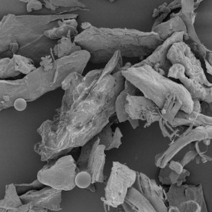 What household dust looks like under a microscope. (NIAID)