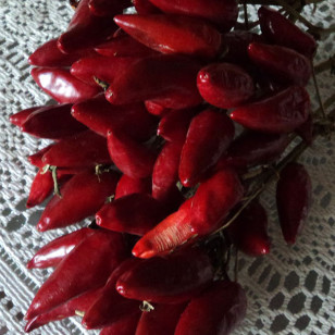 Red chili peppers (Nicholas Gemini via Wikimedia Commons)