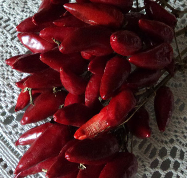 Red chili peppers (Nicholas Gemini via Wikimedia Commons)