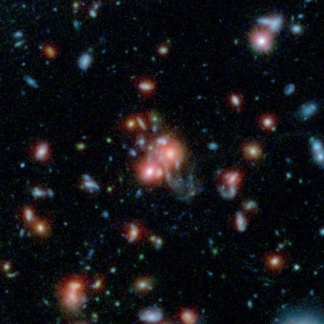 SpARCS1049+56 is a massive cluster of galaxies that creates hundreds of new stars each year.  It's pictured here in this multi-wavelength view from NASA's Hubble and Spitzer space telescopes. (NASA/STScI/ESA/JPL-Caltech/McGill)