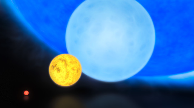 Relative sizes of young stars, from the smallest “red dwarfs”, weighing in at about 0.1 solar masses, through low mass “yellow dwarfs” such as the Sun, to massive “blue dwarf” stars weighing eight times more than the Sun, as well as the giant star named R136a1 (dark blue) (ESO/M. Kornmesser/Creative Commons)